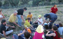 Linga Longa Farm Wingham - Yamba Accommodation 3