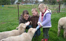 Linga Longa Farm Wingham - Yamba Accommodation 2