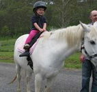 Mansfield Cottage Barrington Tops Accommodation - Yamba Accommodation