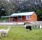 Moorallie Cottage Farm Stay - Yamba Accommodation