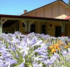 Red Hill Organics Farmstay - Yamba Accommodation