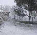 Tirrintippin - Yamba Accommodation