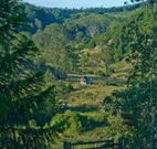 Yarralong BnB and Farm Stay - Yamba Accommodation