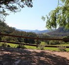 Cedar Grove - - Yamba Accommodation