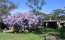 Studio Cottages - Yamba Accommodation 0