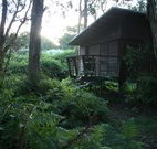 Mount Seaview Resort - Yamba Accommodation