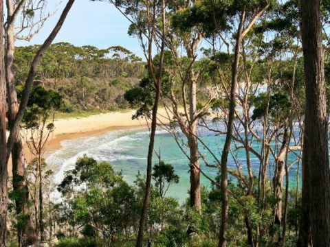 Allawah Cabins - Yamba Accommodation 2