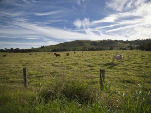 Goolmangar NSW Yamba Accommodation