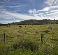 Annas Retreat - Yamba Accommodation