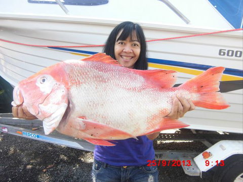 Flying Fish Point Tourist Park - Yamba Accommodation 6