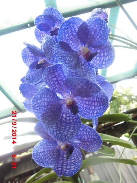 Flying Fish Point Tourist Park - Yamba Accommodation 8