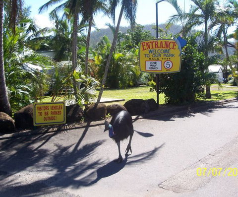 Flying Fish Point Tourist Park - Yamba Accommodation 9
