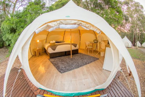 Yarra Valley Park Lane Glamping Belle Tents - Yamba Accommodation 8