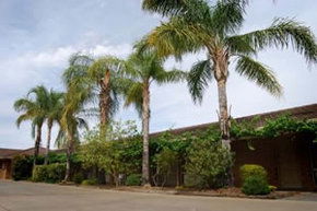 Darling Junction Motel - Yamba Accommodation 2