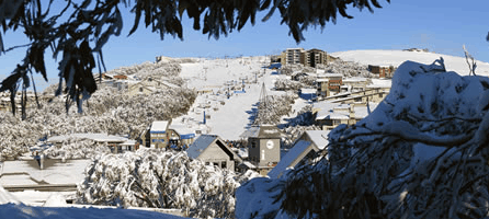 Alpine Ridge Lodge - thumb 0