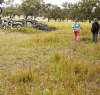 Carnarvon National Park camping - Yamba Accommodation