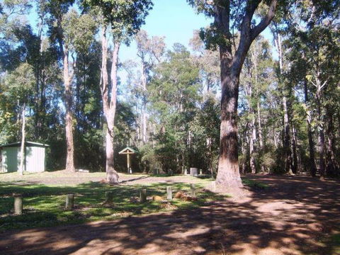 Workmans Pool Camp At St John Brook National Park - Yamba Accommodation 0