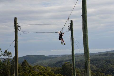 Allambee Camp - Yamba Accommodation 3