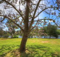 Breakaway Twin Rivers Caravan Park - Yamba Accommodation