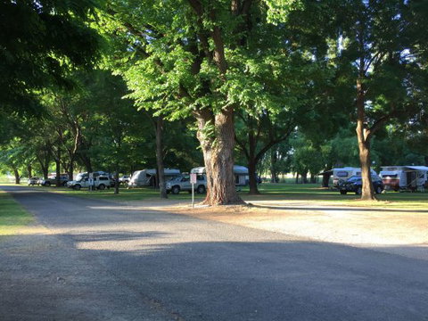 Colac Colac Caravan Park - Yamba Accommodation 1