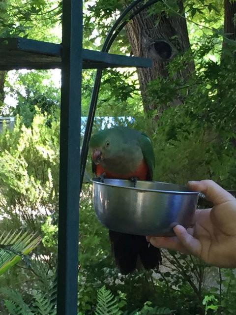 Colac Colac Caravan Park - Yamba Accommodation 2