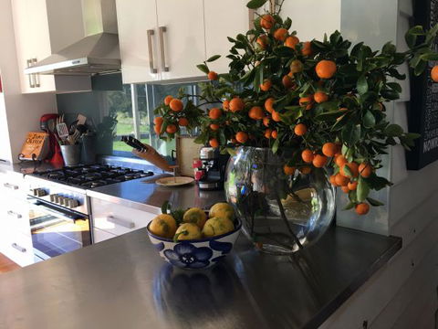 House Of Apples - Yamba Accommodation 6