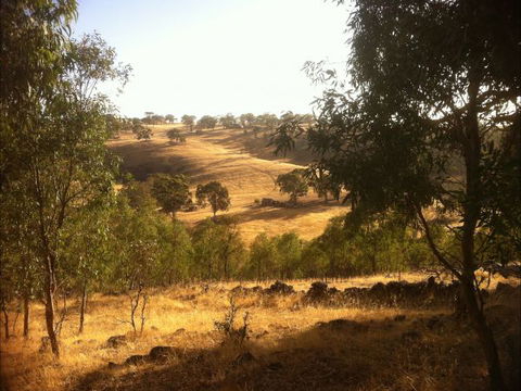 Jonathan Art Centre - Jarramarrumba House - Yamba Accommodation 6