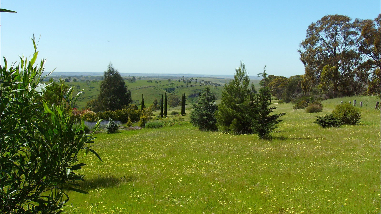 Dawesley SA Yamba Accommodation
