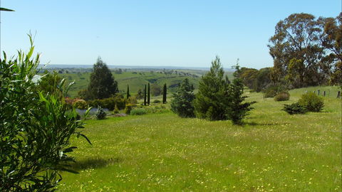 Jonathan Art Centre - Jarramarrumba House - Yamba Accommodation 0