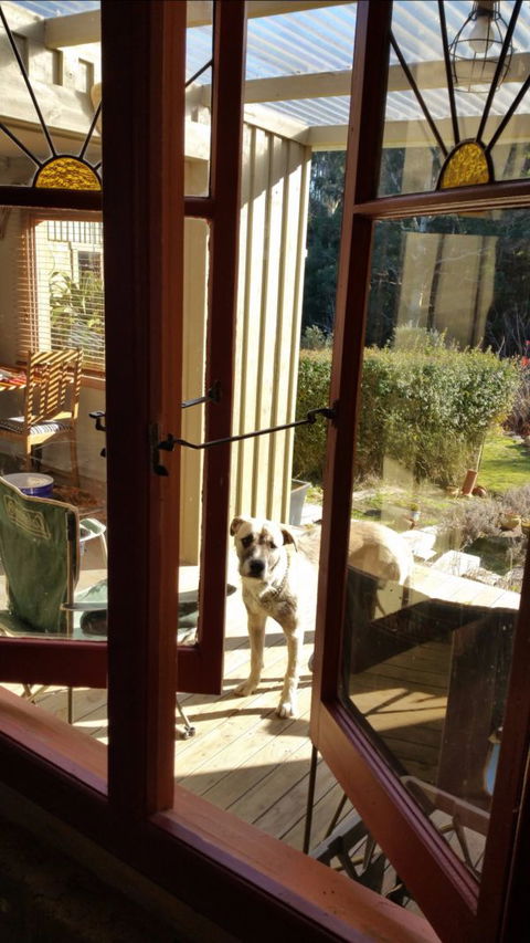 Mara Ponds Branxholm - Yamba Accommodation 0