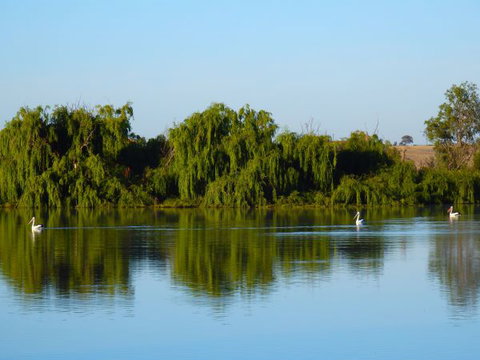 Westbrook Park - Yamba Accommodation 2