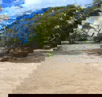 Acraman Creek Conservation Park Campgrounds - Yamba Accommodation