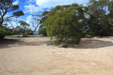 Acraman Creek Conservation Park Campgrounds - Yamba Accommodation 0