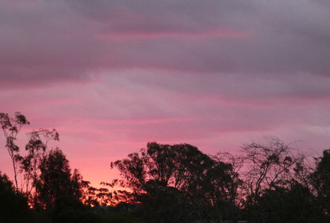 Forest Lodge Highfields - Yamba Accommodation 4