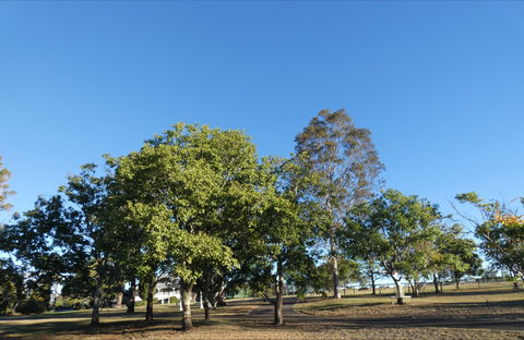 Forest Lodge Highfields - Yamba Accommodation 6