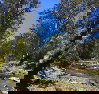 Highfield Farm and Woodland Bush Campsites - Yamba Accommodation