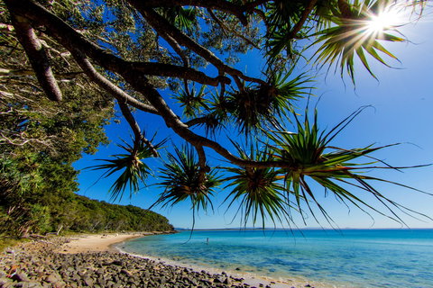 Noosa Caravan Park - Yamba Accommodation 2