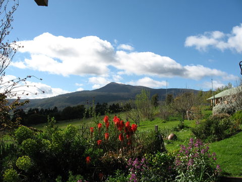 Plovers Ridge Country Retreat - Yamba Accommodation 0