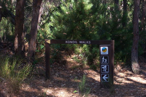 Blue House Bed And Breakfast - Yamba Accommodation 8