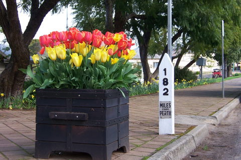 Blue House Bed And Breakfast - Yamba Accommodation 9