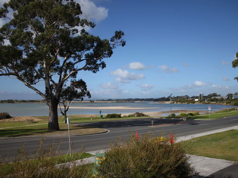 Bridport Seaside Lodge - Yamba Accommodation 5
