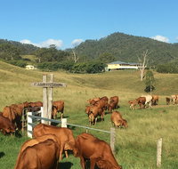 Farringdon Homestead - Yamba Accommodation
