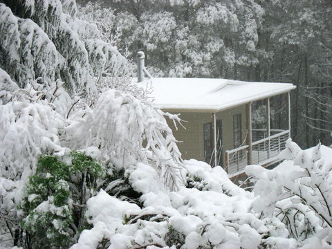 Lyrebird Cottages - Yamba Accommodation 2