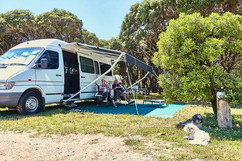 Anglesea Family Caravan Park - Yamba Accommodation 2