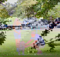 Kirra Beach Tourist Park - Yamba Accommodation