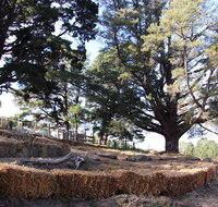 Longwood Retreat - Yamba Accommodation