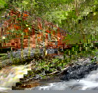 The Mouses House - Rainforest Retreat - Yamba Accommodation