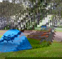 Violet Hill campground and picnic area - Yamba Accommodation