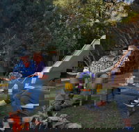 Zeehan Bush Camp - Yamba Accommodation