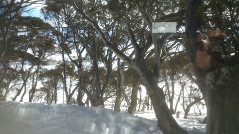 Barina Milpara Lodge - Yamba Accommodation 1